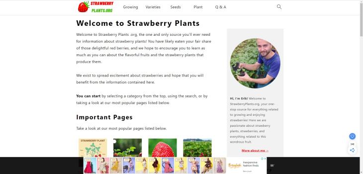 StrawberryPlants.org
